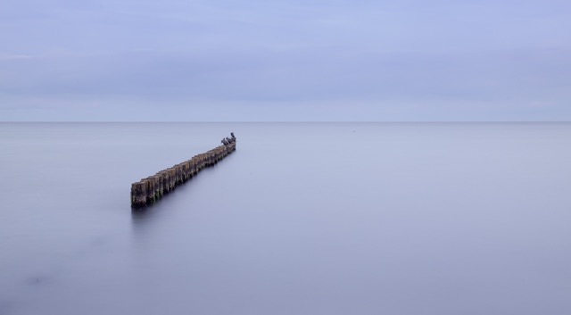 MG_1381-©-www.mario-dirks.de-2